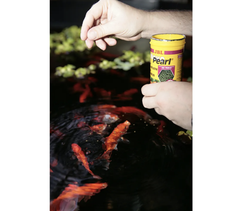 Jbl Pronovo Red Grano M 100ml Click