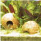JBL Cocos Cava 1/2 M Hule