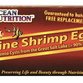 Brine Shrimp Eggs