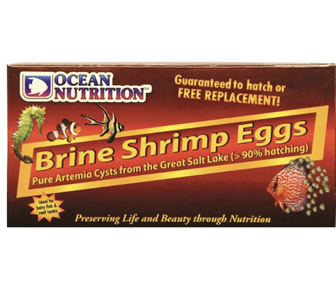 Brine Shrimp Eggs