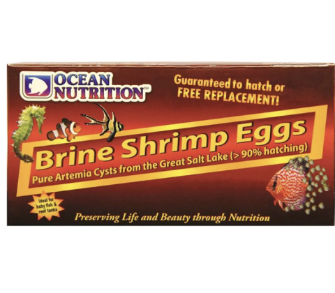 Brine Shrimp Eggs