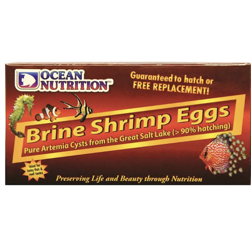 Brine Shrimp Eggs