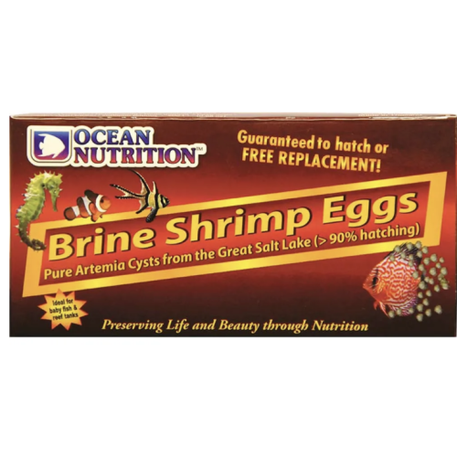 Brine Shrimp Eggs