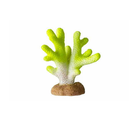 Koral Lime 