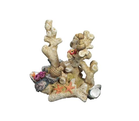 Akvariedekoration  Coral med skaller