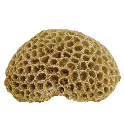 Akvariedekoration CORAL