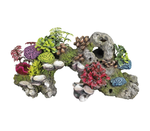 Stor klippe med coraler