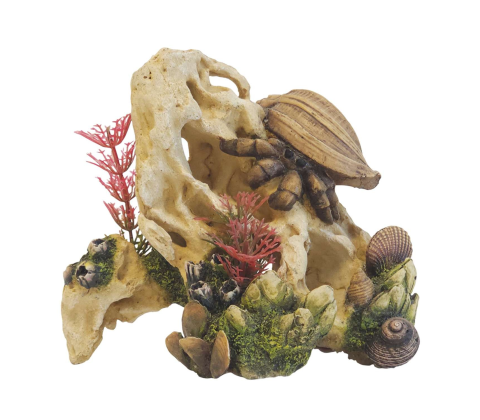 Akvariedekoration SHELL ON STONE