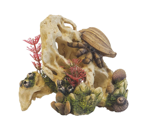 Akvariedekoration SHELL ON STONE