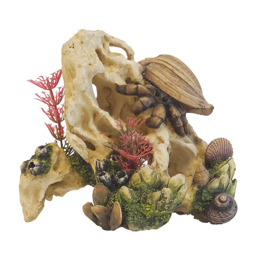 Akvariedekoration SHELL ON STONE