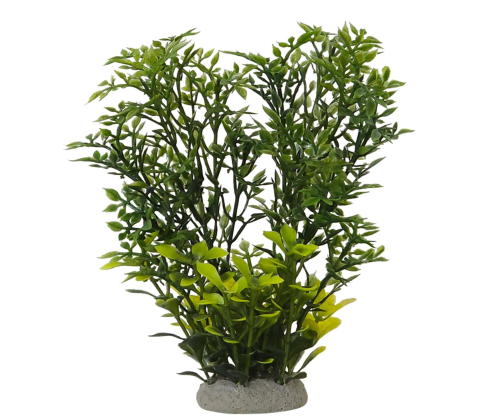Akvariedekoration HELZINE GREEN