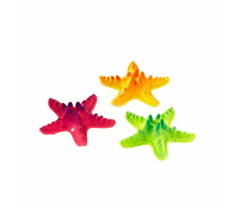 Søstjerne Rainbow Mix 