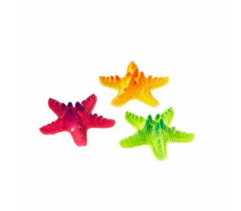 Søstjerne Rainbow Mix 