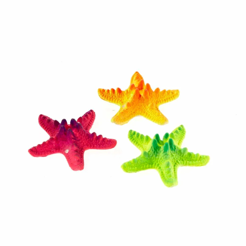Søstjerne Rainbow Mix 