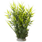 Akvariedekoration BAMBOO