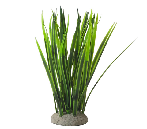 Akvariedekoration VALLISNERIA