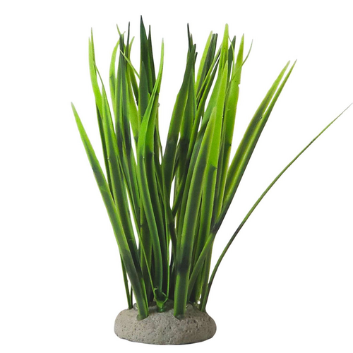 Akvariedekoration VALLISNERIA