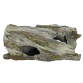 Akvariedekoration – Wood