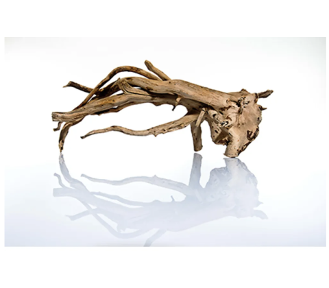 TALAWA WOOD 50-70CM.