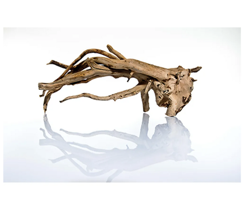 TALAWA WOOD 50-70CM.