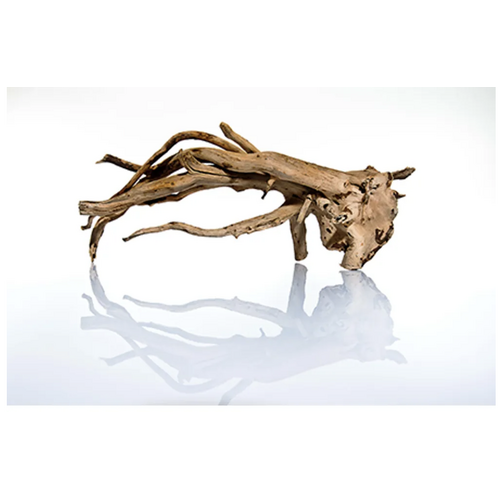 TALAWA WOOD 50-70CM.