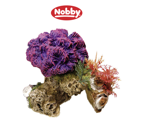 Akvarie dekoration Coral med planter 