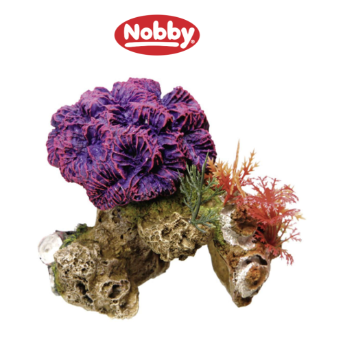 Akvarie dekoration Coral med planter 