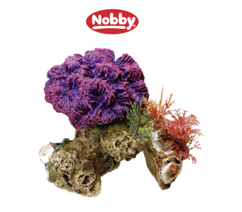 Akvarie dekoration Coral med planter 