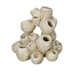 Akvariedekoration  Barnacles