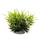 Akvariedekoration BAMBOO LILLE