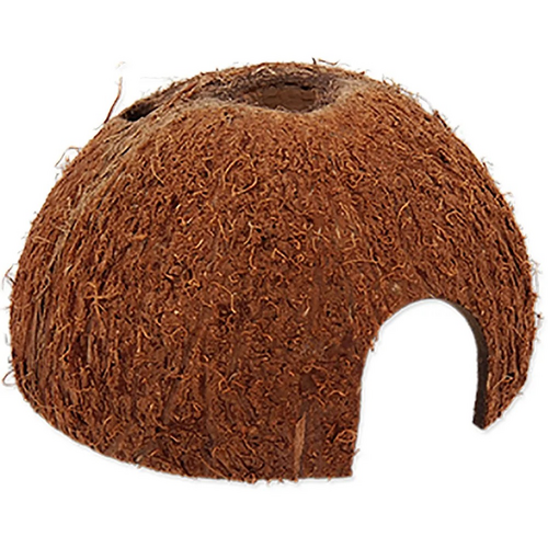 Rp Coco Shell 1/2