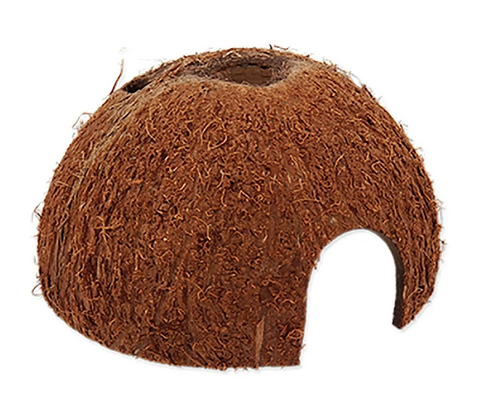 Rp Coco Shell 1/2