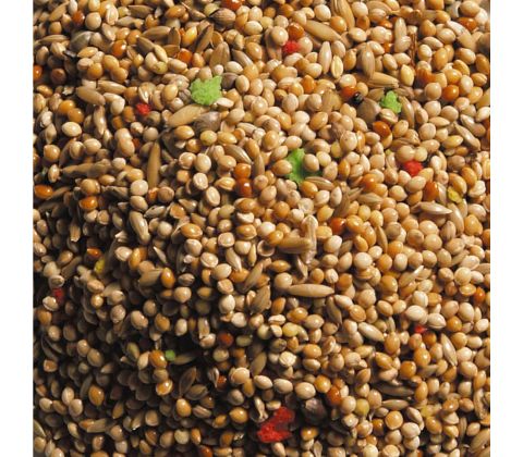 Natural King Standard Undulat, 15 kg 
