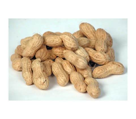 Jordnødder m/skal 500 g. 
