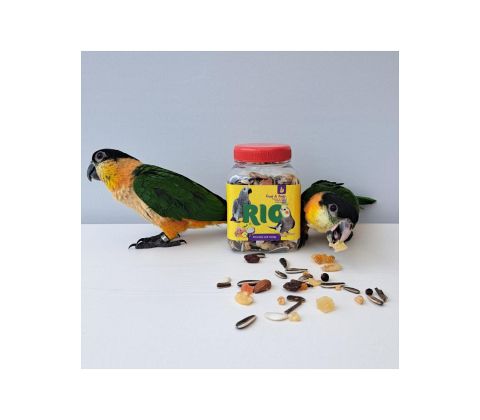 RIO Frugt/nødde Mix 160 g