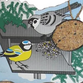 1/2 kokosnød