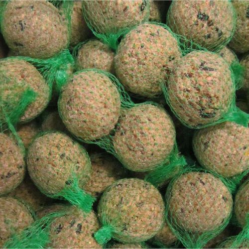 Hobby First mejsebolde – pakke med 100 stk. og med net