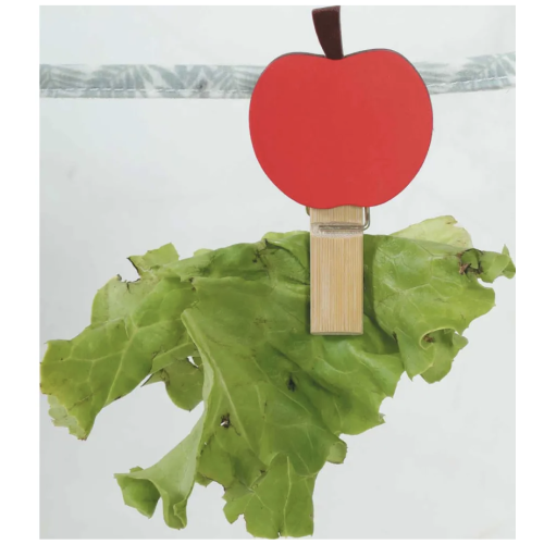 Zolux Neolife 'Treat Rope' Kanin beskæftigelse 150cm