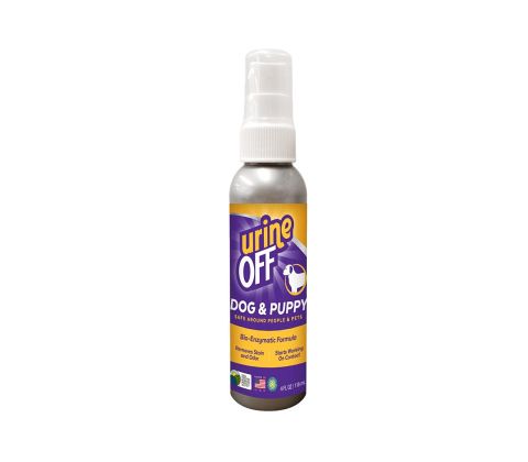 Urine Off Hund