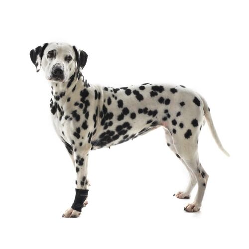 KRUUSE REHAB CARPAL PROTECTOR STR. M