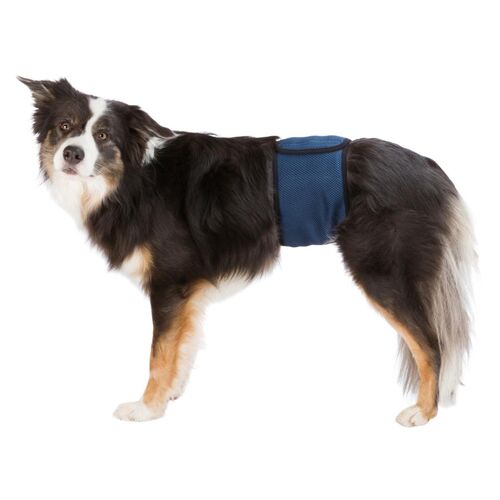 Mavebånd t. hanhunde,  L: 55–65 cm, mørk blå