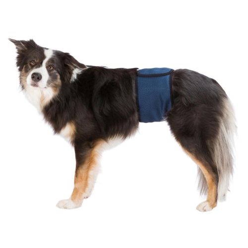 Mavebånd t. hanhunde,  L: 55–65 cm, mørk blå