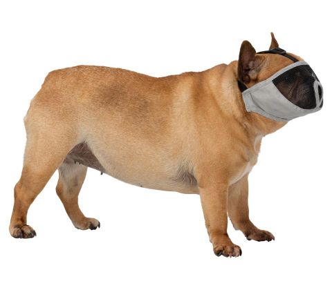 Muzzle for short-nosed breeds, polyester, XS–S: 23 cm, grey