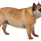 Muzzle for short-nosed breeds, polyester, XS–S: 23 cm, grey