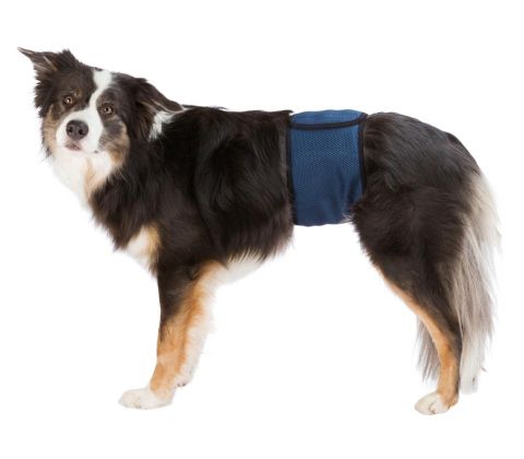 Mavebånd til hanhunde, S–M: 37–45 cm mørk blå