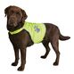 Sikkerhedsvest til hunde str.2 (M)