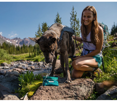 Foldbar foder/vandskål fra Ruffwear Grøn