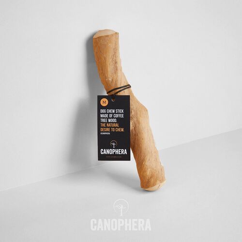 CANOPHERA Kaffetræ M