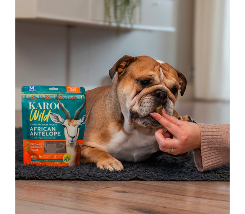 KAROO Wild Training Bites Oregano 113g