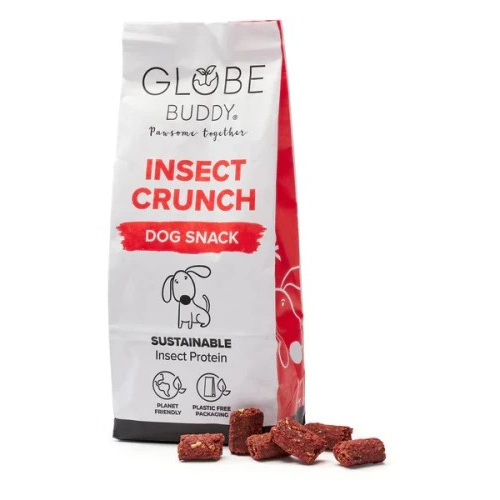Globe Buddy Insect Chrunch